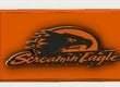 2 color logo