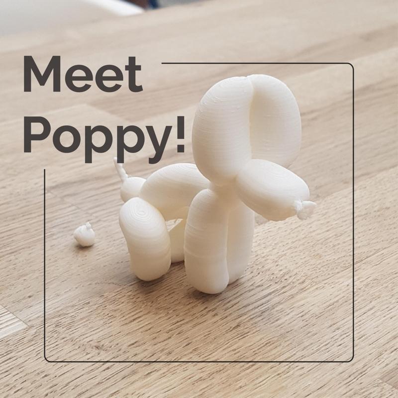 Meet Poppy! - Valentine's Edition.