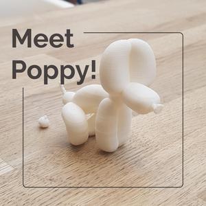 Meet Poppy! - Valentine's Edition.