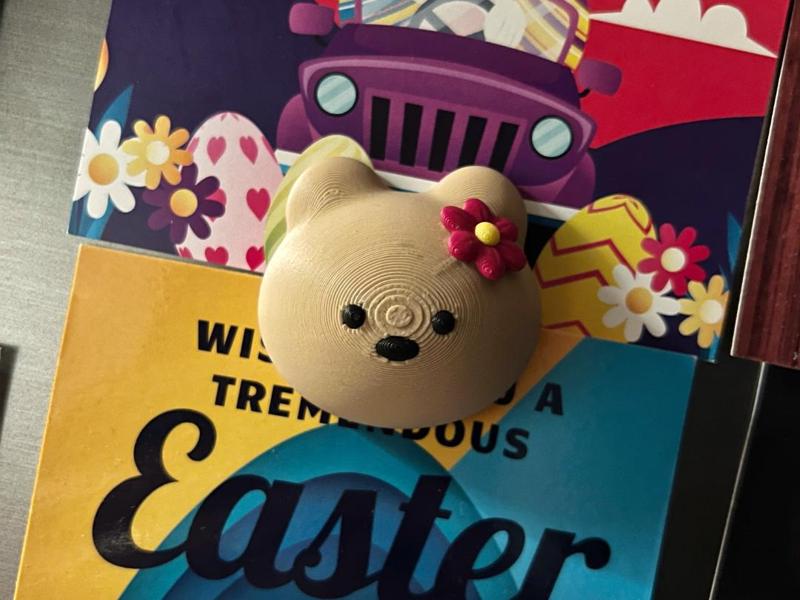 Bear Magnet