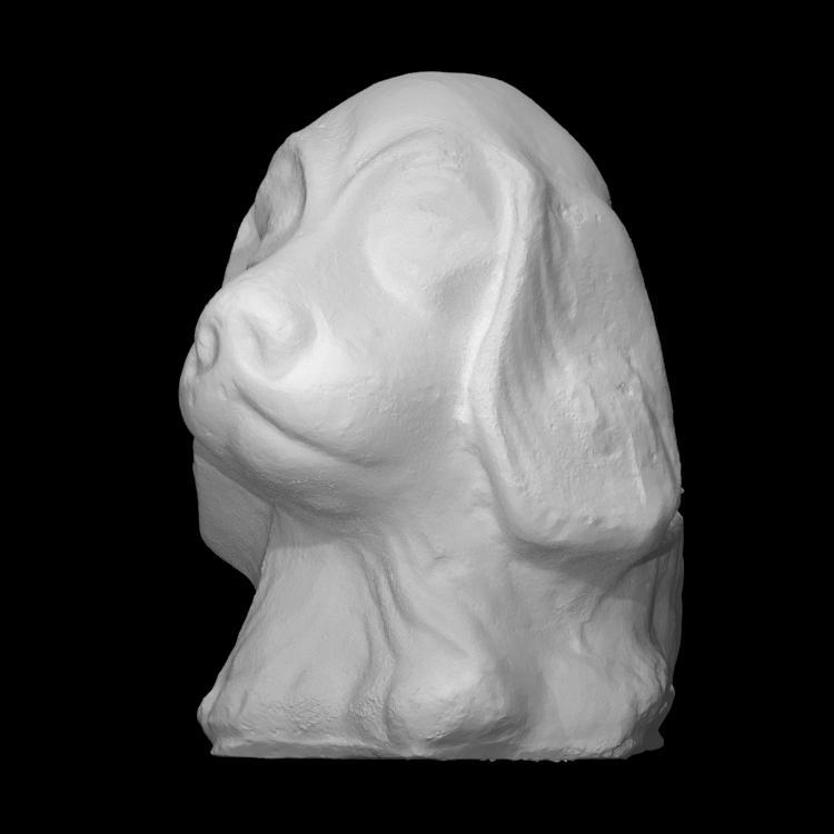 Boardwalk Souvenir - Dog