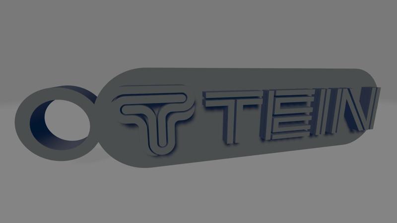 Tein Keychain