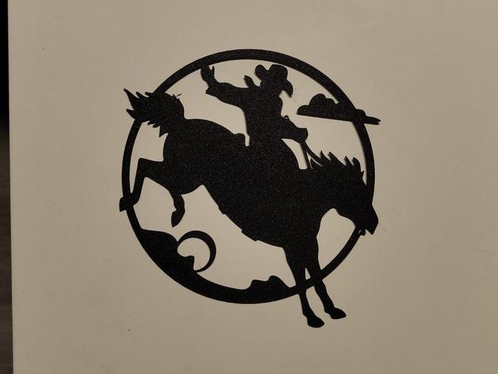 wild colt and cowboy wall art