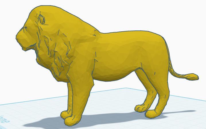 lion