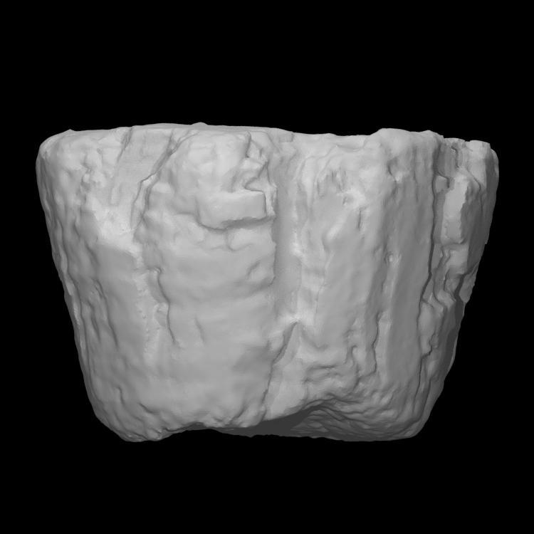 Cork from Betsy Shipwreck