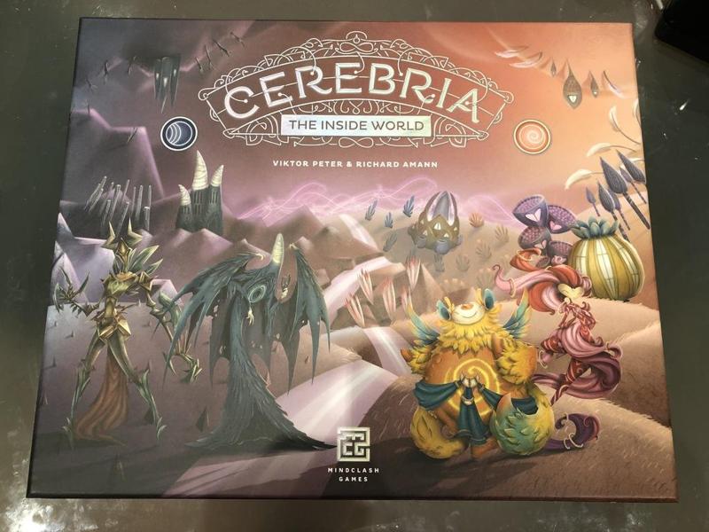 Cerebria Retail Box organizer