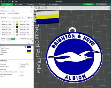 Premier League Brighton & Hove Albion keychan badge printable and renderable