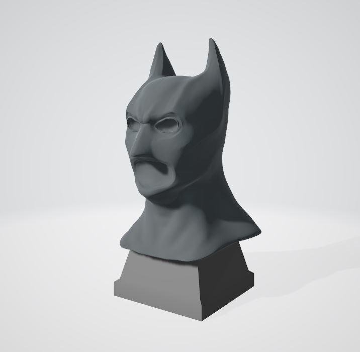Batman Begins Bust