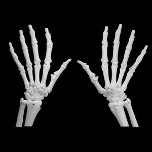 Hand bones