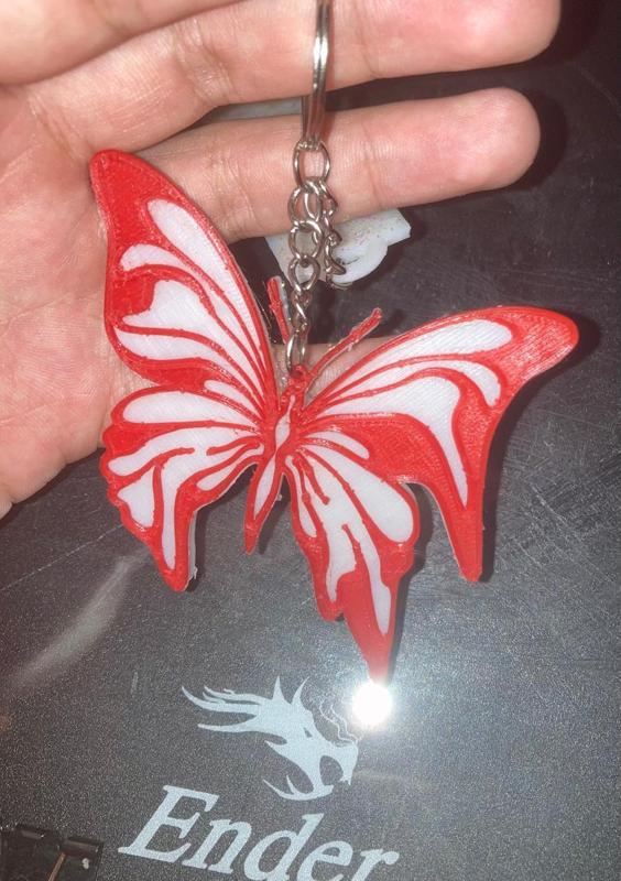 Butterfly aesthetic Keychain