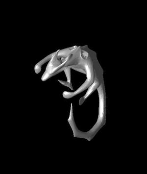 dragon_body
