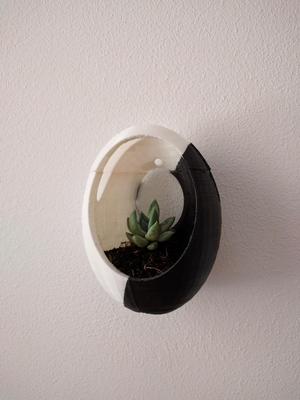 Seed Pot