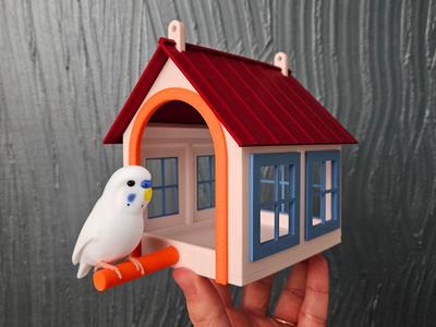Bird Feeder