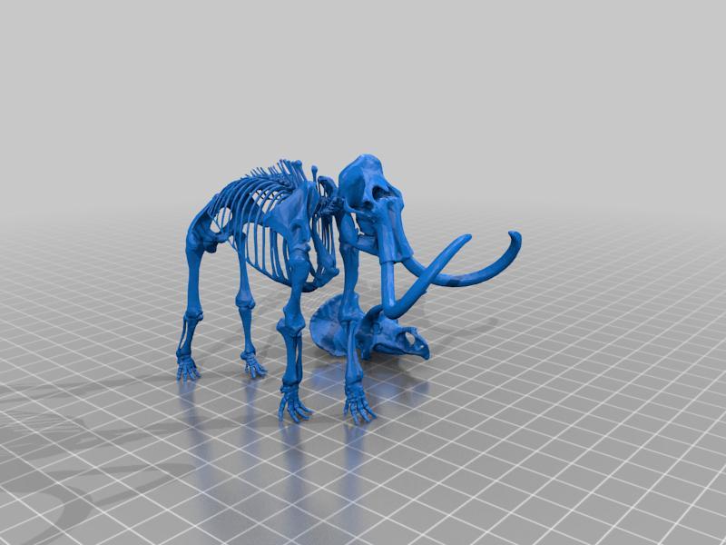 mammoth and triceratops