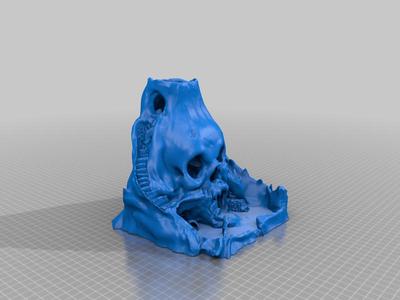 Skull Island Custom