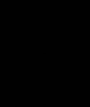 Saturday_17-June-2023_17.35_03