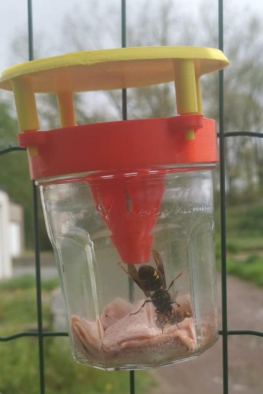 Piege selectif frelon asiatique - selective asian hornet trap