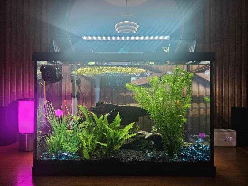 Aquarium Light Riser (TopFin)