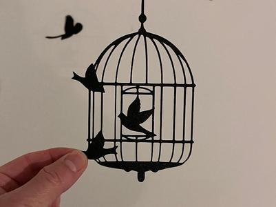 Birds come out of their cage