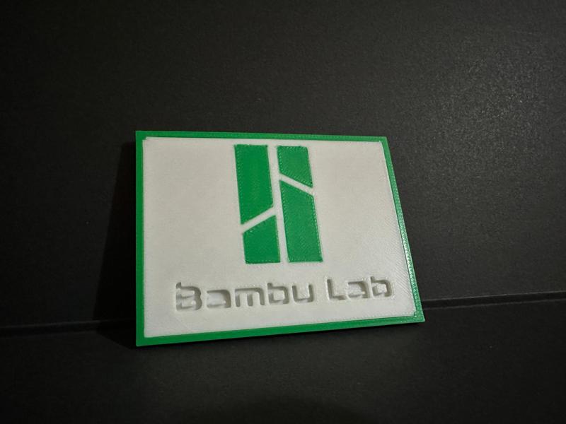 Bambu Labs two piece Logo