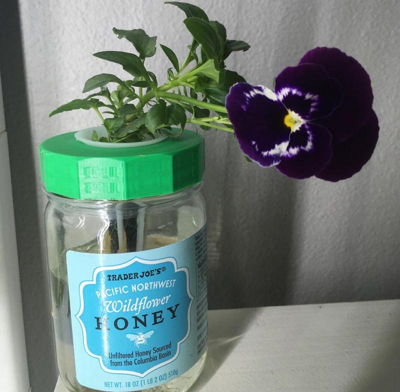 Mason Jar Lids for Aerogarden Pod (regular and wide)