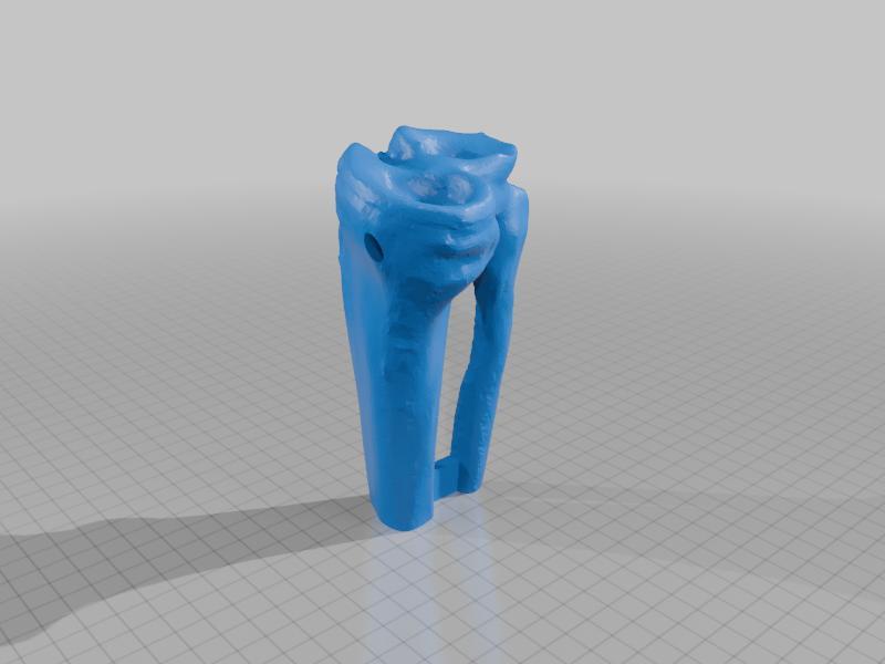 Knee joint - femur, tibia and fibula with tunnels for cord to replicate ligaments
