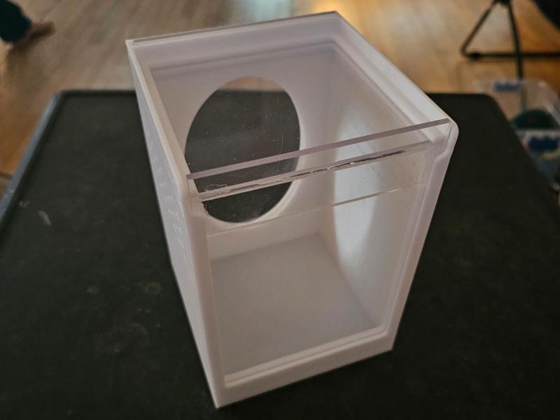 Jumping Spider Terrarium