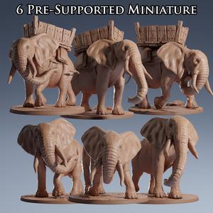 Wild & War Elephants