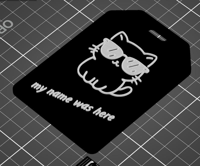 Cat Wearing Sunglasses Luggage Tag