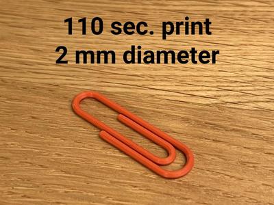 Paper Clip (2 mm Diameter)