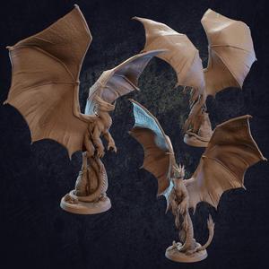 Spiny Thorntail - Presupported