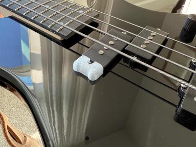 Bass Thumb Rest