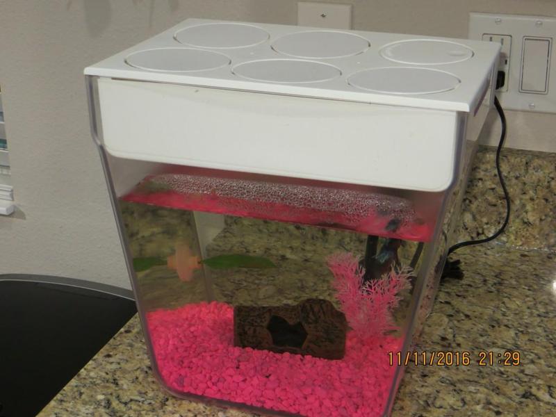 Aqua Farm Fish Tank Lip Cover