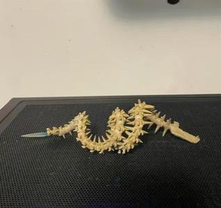 Whipslash for SHMA Skar King