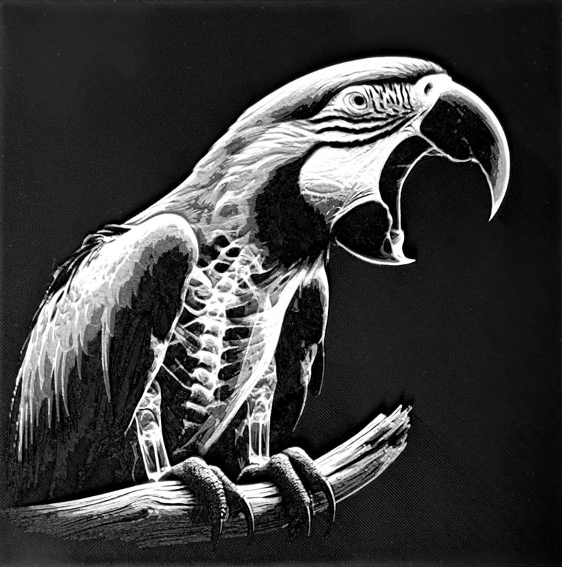 X-ray Ara parrot filament painting
