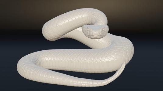 Rattlesnake