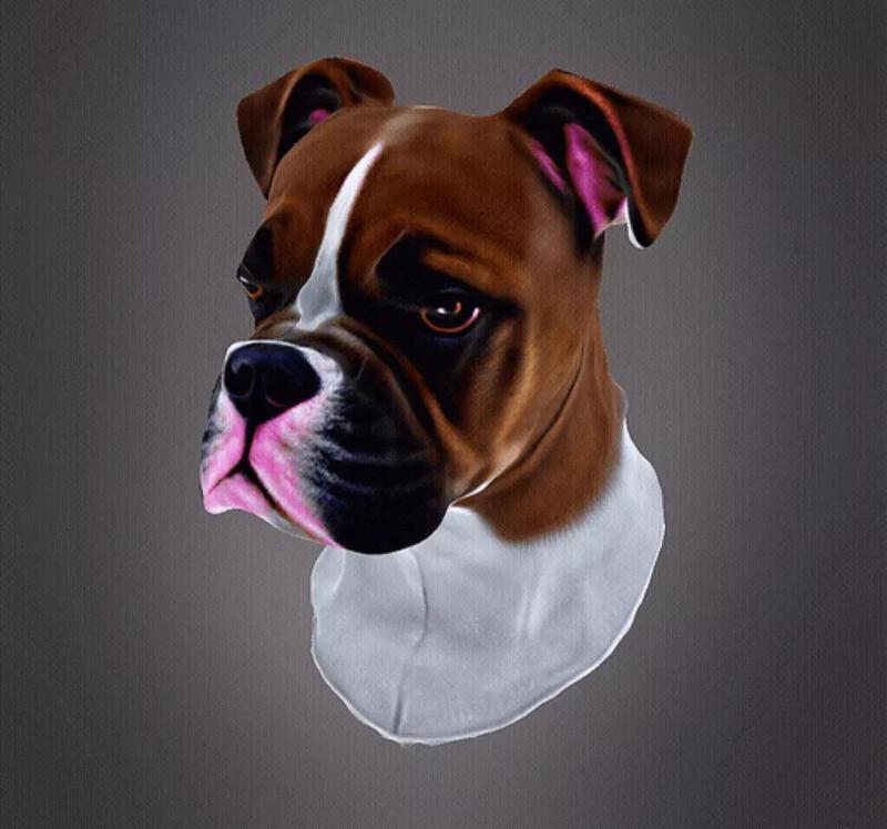 Boxer dog low poly bust