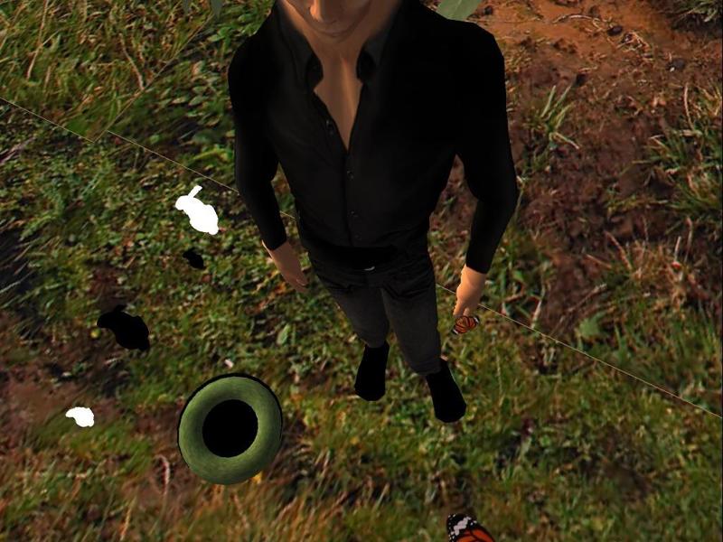 bunnies and hole for 3d wordls