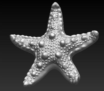 Starfish