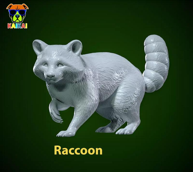 Raccoon species model - 3D print