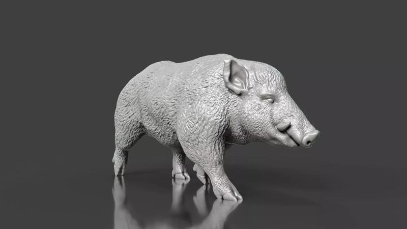 Realistic Wild Boar Toy STL