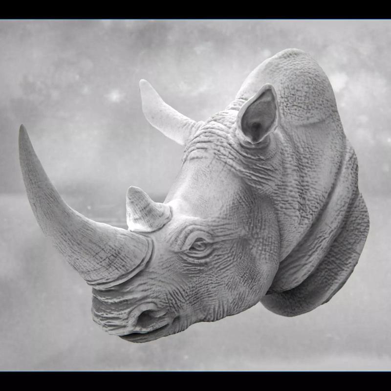 Rhino Bust
