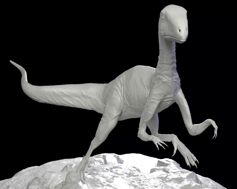 Leaellynasaura Dinosaurs australia 3D Print