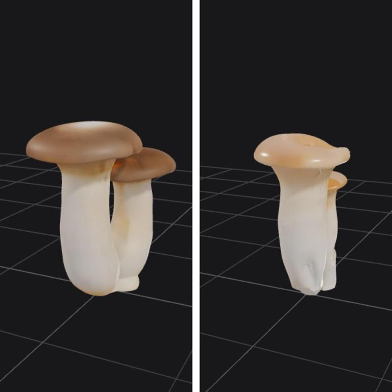 3D King Trumpet Mushroom STL Pack – High-Quality Models for Miniatures & DIY 3D Printing