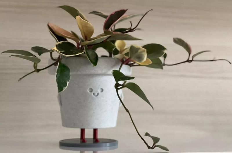3D Printed Standing Smiley Pot