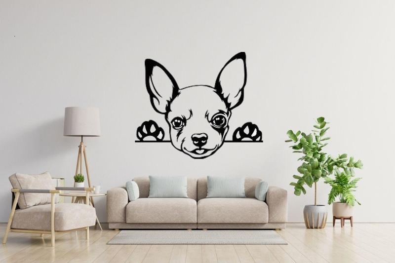 dog chihuahua wall