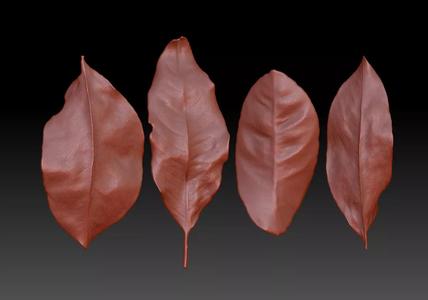 realistic ZB leaf brushes 3D printing leaf STL ZB Leaf Brush