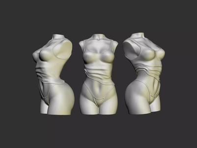 Female Torso
