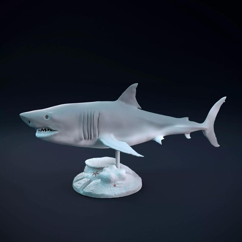 Great white shark swimming intended for 3D printing