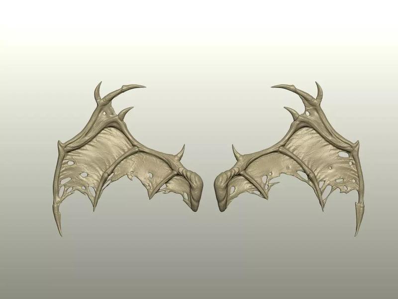 Fantasy Creature Wing 09